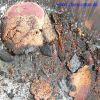 Bild: Reduktion von Kupferoxid mit Holzkohle