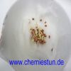 Bild: Wirkung von Ethanol auf das Pflanzenwachstum