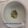 Bild: Extraktion des Lavendel-Duftstoffes