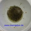 Bild: Extraktion des Lavendel-Duftstoffes