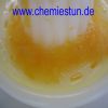 Bild: Suspension: Orangensaft herstellen